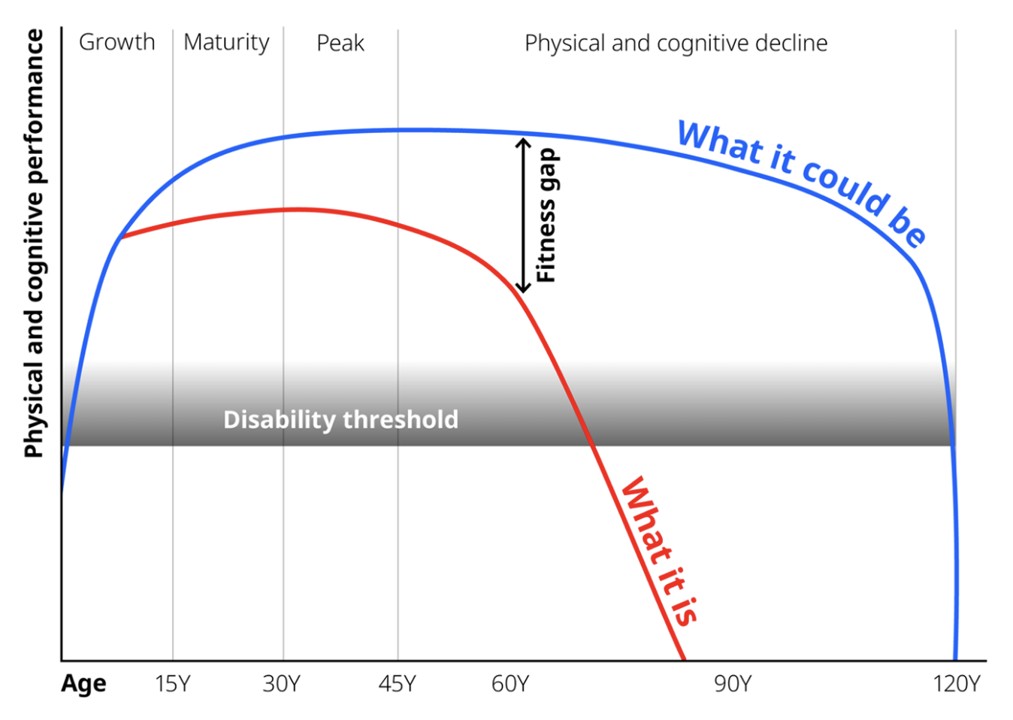 ddrobotec-Physische-Kognitive-Performance-AgeTech-Margerite