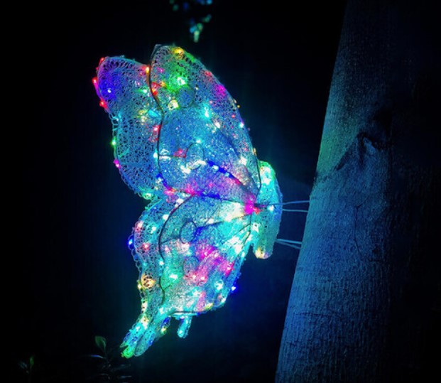 Age Innovation Prize